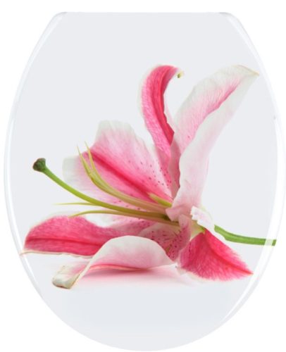Wenko WC ülőke, Orchid