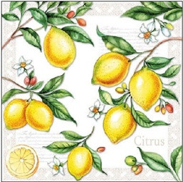 Ambiente Citrus papírszalvéta 25x25 cm