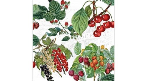 Ambiente Fresh Fruits papírszalvéta 25x25 cm