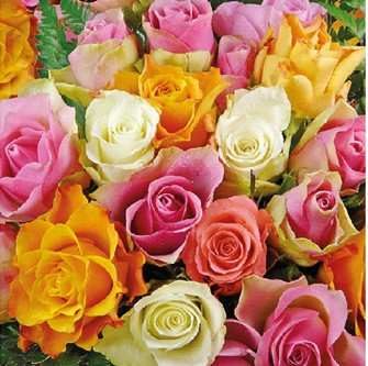 Ambiente Colourful Roses papírszalvéta 33x33 cm