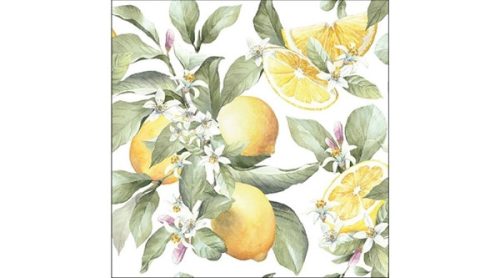 Ambiente Limoni papírszalvéta 33x33 cm