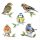 Ambiente Bird Species papírszalvéta 33x33 cm 20 db/csomag