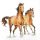 Ambiente Wild Horses papírszalvéta 33x33 cm 20 db/csomag