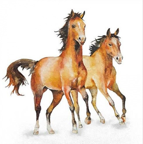 Ambiente Wild Horses papírszalvéta 33x33 cm 20 db/csomag