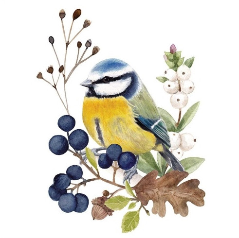 PPD Oiseau En Nature papírszalvéta 33x33 cm, 20 db/ csomag