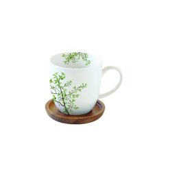   R2S.1080NTRA Natura Porcelánbögre Akácfa Alátéttel 350 ml Dobozban