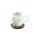 R2S.1080NTRA Natura Porcelánbögre Akácfa Alátéttel 350 ml Dobozban