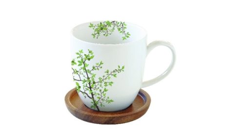 R2S.1080NTRA Natura Porcelánbögre Akácfa Alátéttel 350 ml Dobozban